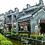 岭南黑豹队对阵江畔鲸鲨队，排球巡回赛击败，细节决定成败——的简单介绍